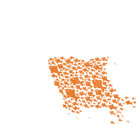 Visst nappar det för Fishbrain