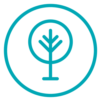 rich text with image