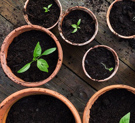 Kom igång med hållbarhetsrapportering i tid