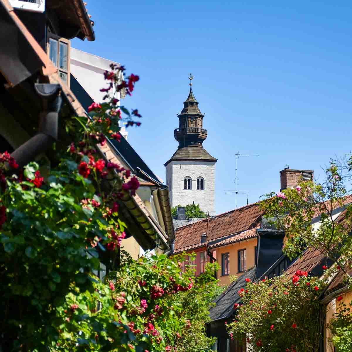 Business Arena Almedalen