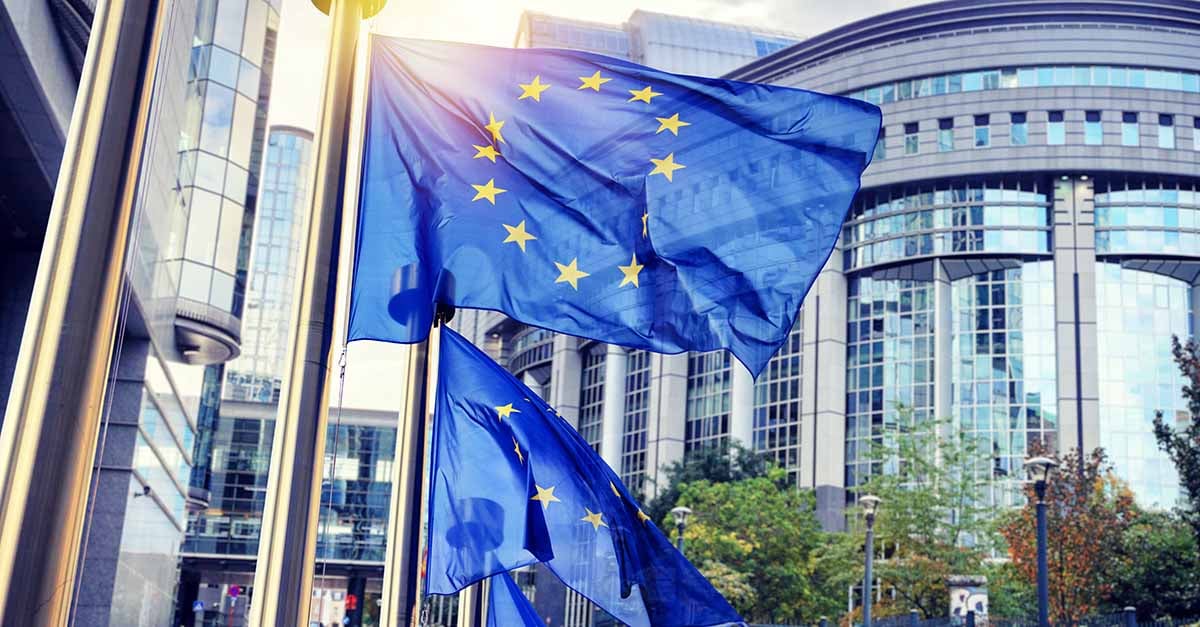 insight featured image