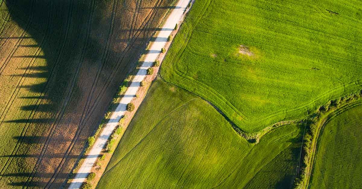 insight featured image