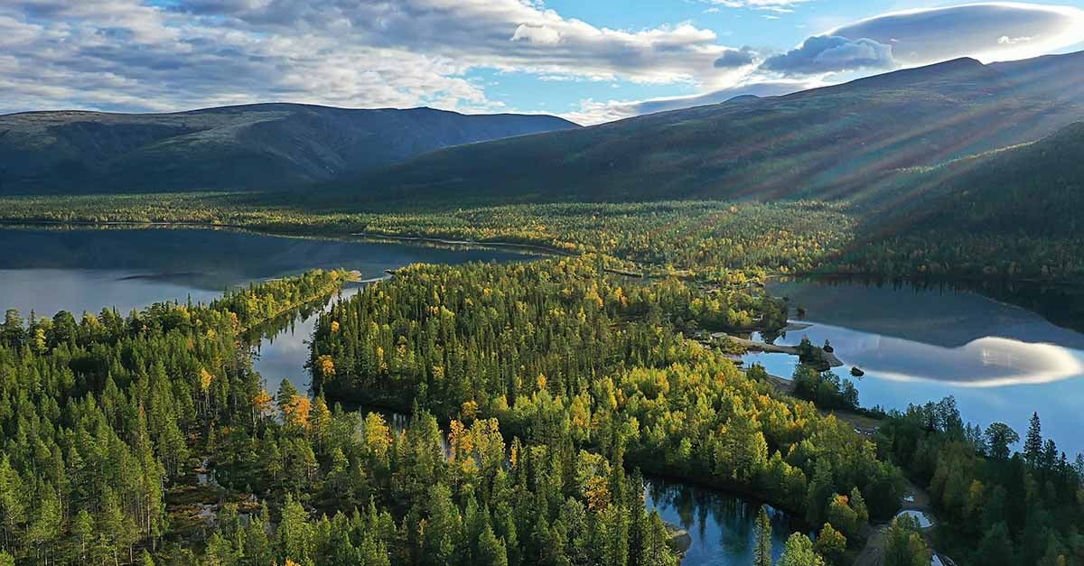 insight featured image