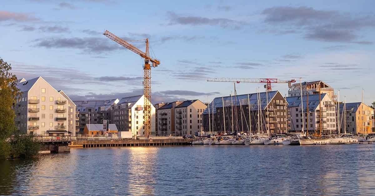 insight featured image