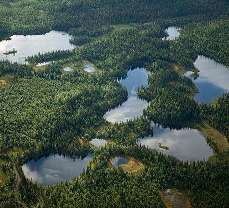 Efter våtmarksdom – ny möjlighet att lämna bidrag till allmännyttig verksamhet?