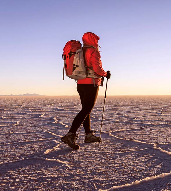 Transaktionsrapporten 2024