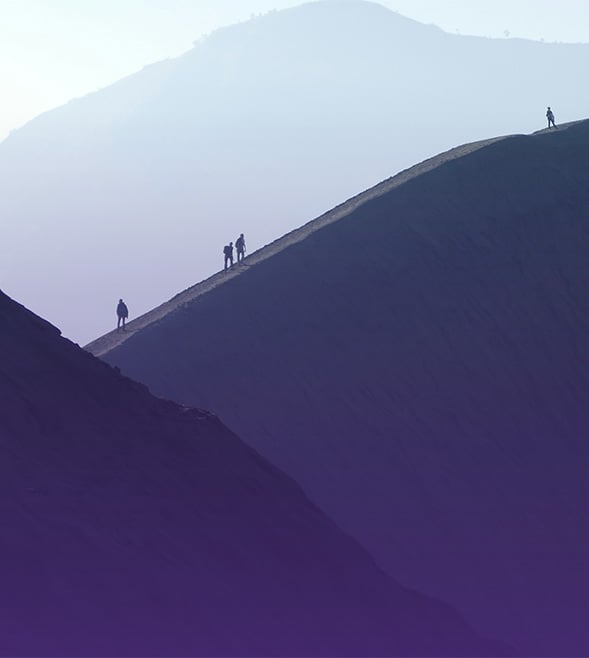 Transaktionsrapporten 2025